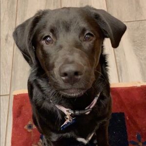 Meet your Posher, Ashlee